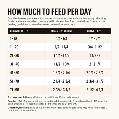 Honest Kitchen Clusters Small Breed Grain Free Beef Dry Dog Food (4lb)