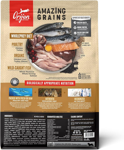 Orijen Amazing Grains Puppy Dry Dog Food