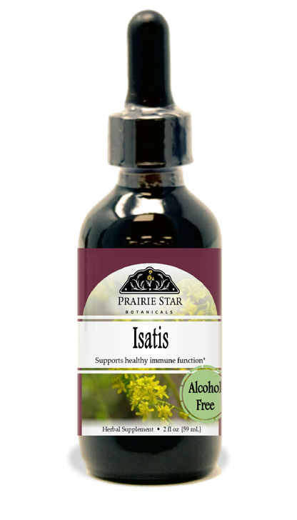 Isatis