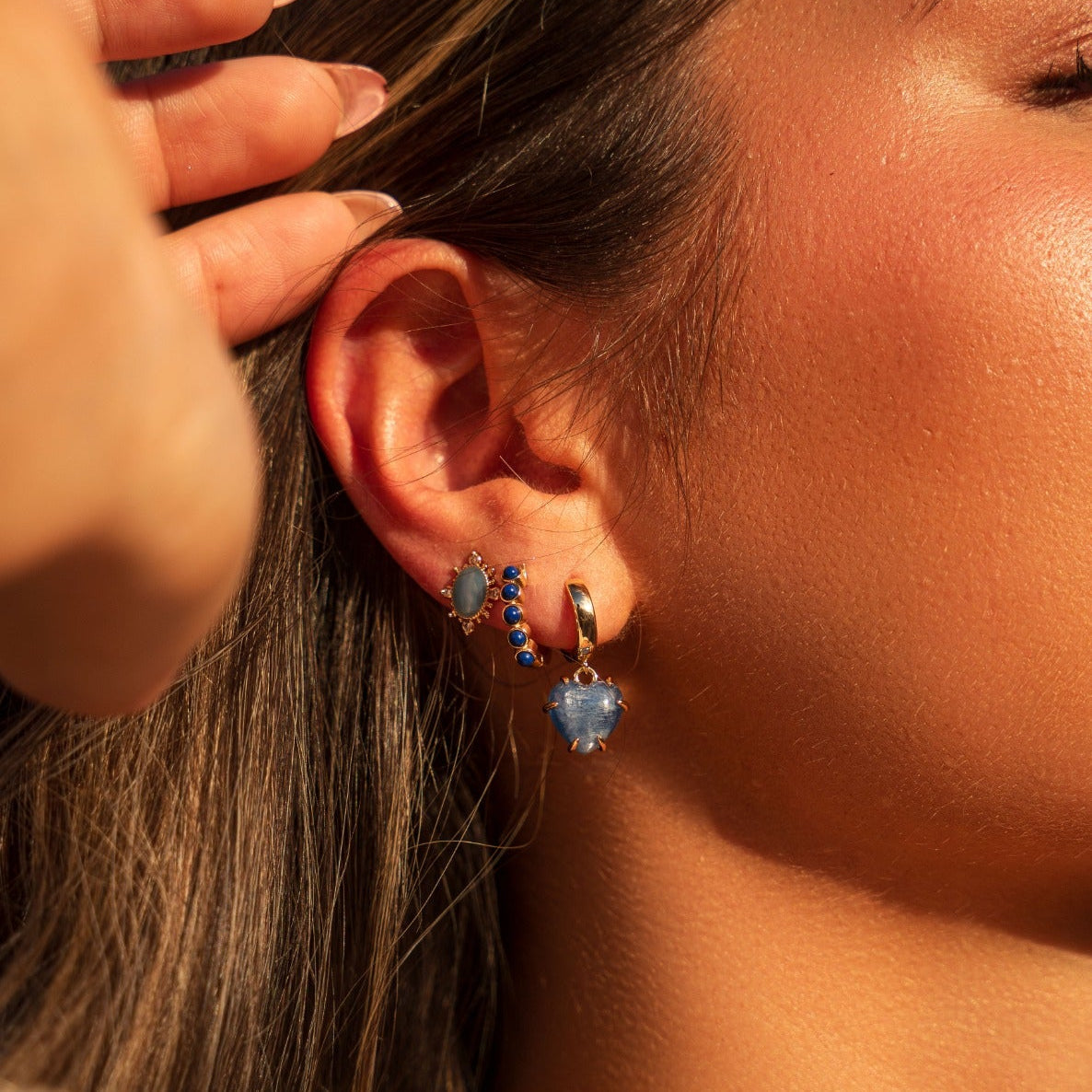 Lady Lourdes Stud - French Blue
