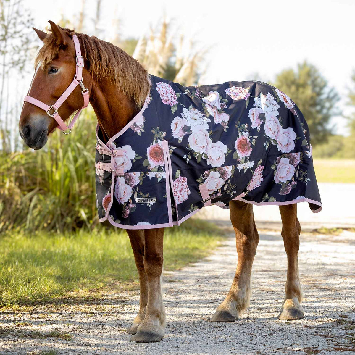 Jeffers Expression 1200D Draft Horse Turnout Blanket, 240 g | Waterproof, Breathable & Safe Design