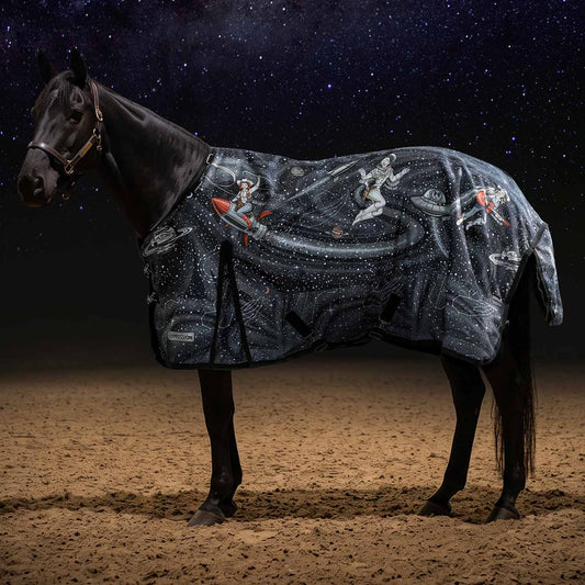 Jeffers Expression 1200 Denier Standard Neck Turnout Horse Blanket, 240 Gram