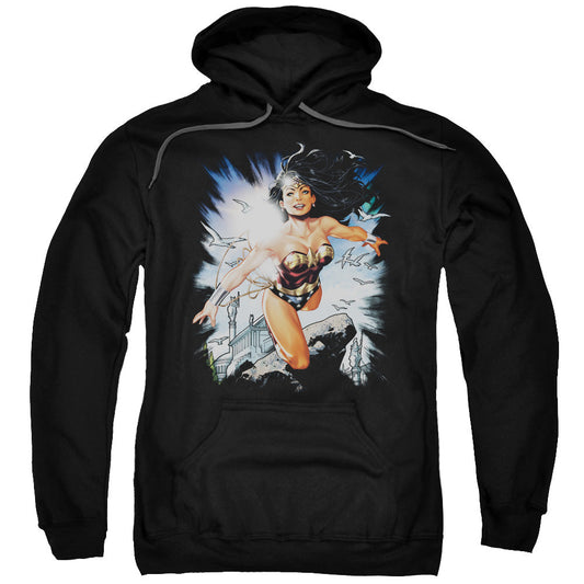 Justice League of Themyscira Mens Hoodie Black Officially Licensed