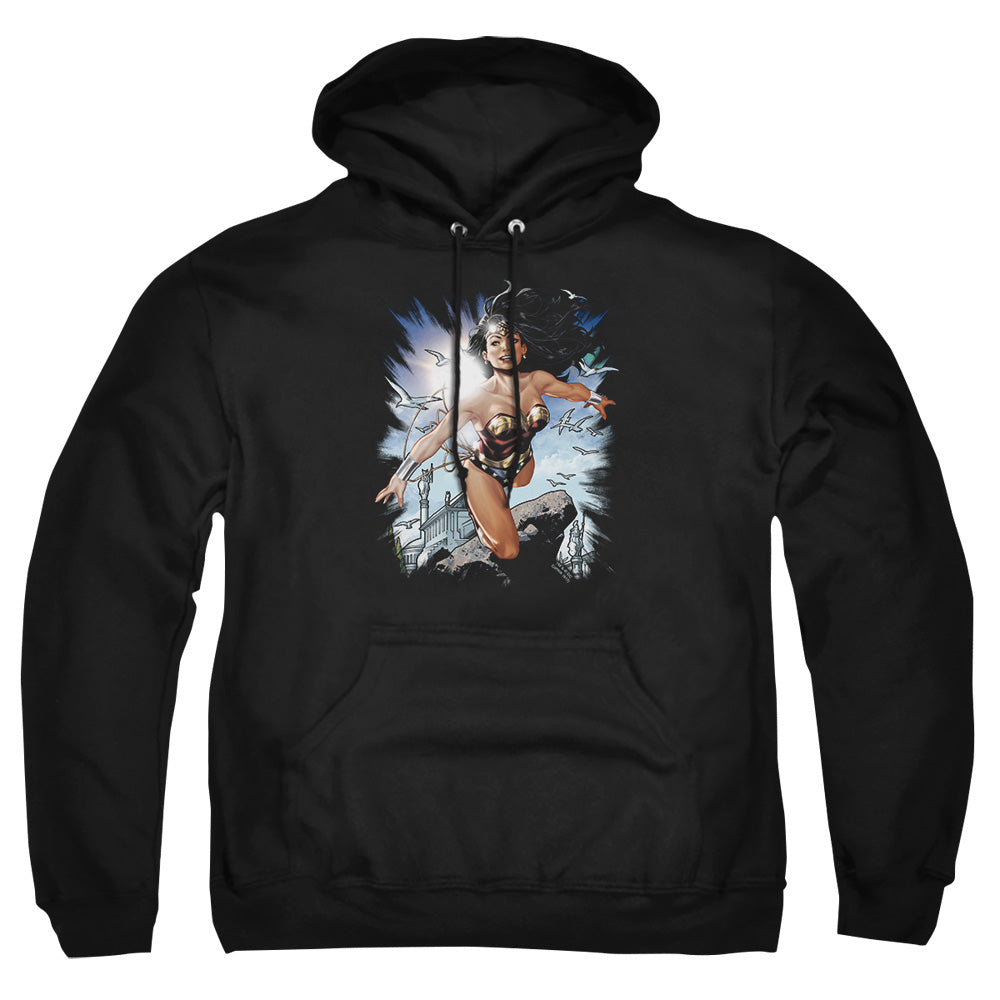 Justice League Of America Of Themyscira Mens Hoodie Black Officially Licensed