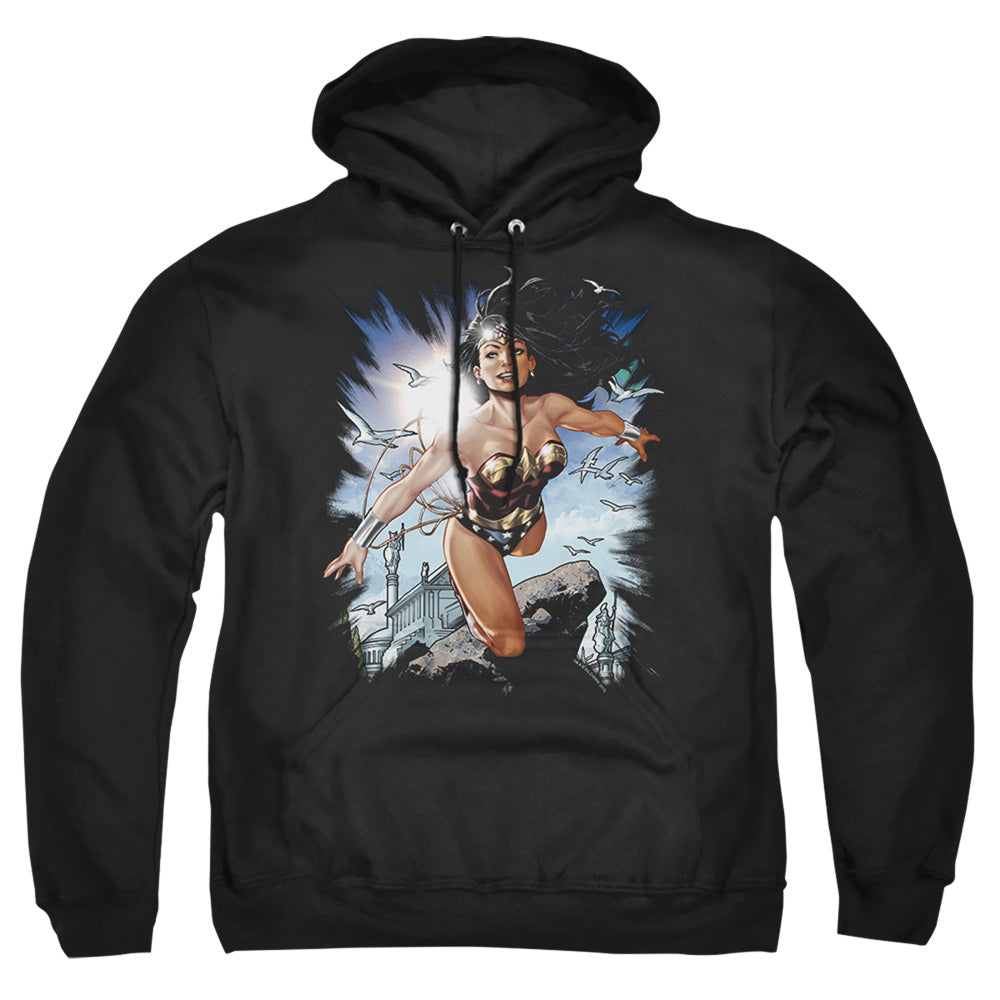 Justice League Of America Of Themyscira Mens Hoodie Black Officially Licensed