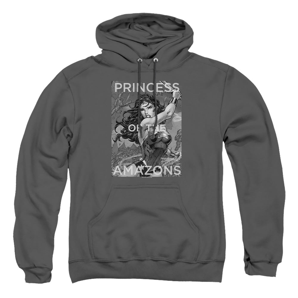 Justice League Of America Princess Of The Amazons Mens Hoodie Charcoal Officially Licensed