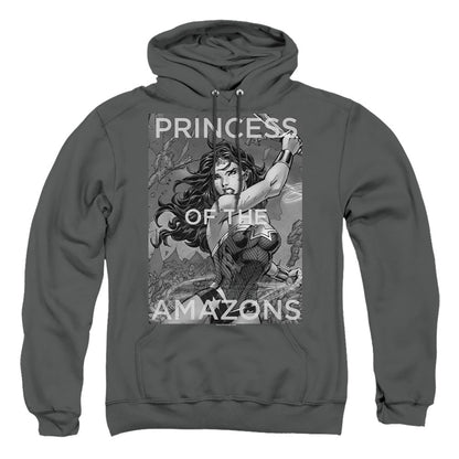 Justice League Of America Princess Of The Amazons Mens Hoodie Charcoal Officially Licensed