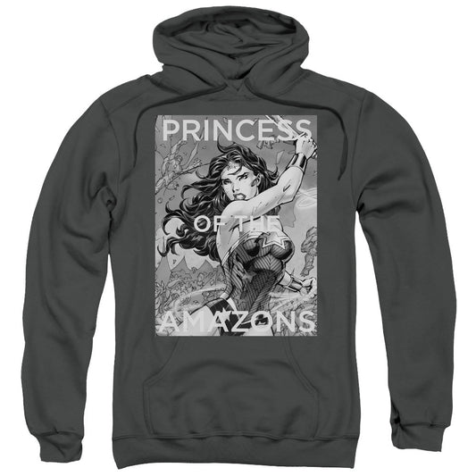 Justice League Princess of the Amazons Mens Hoodie Charcoal Officially Licensed