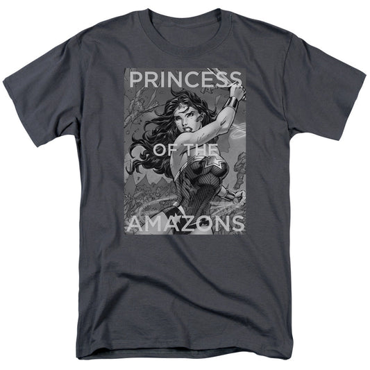 Justice League Of America Princess Of The Amazons Mens T Shirt Charcoal Officially Licensed