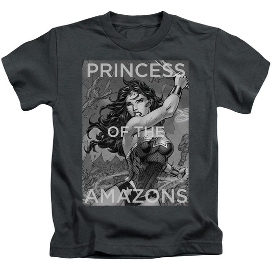 Justice League Princess of the Amazons Juvenile Kids Youth T Shirt Charcoal Officially Licensed