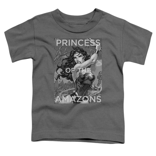 Justice League Princess of the Amazons Toddler Kids Youth T Shirt Charcoal Officially Licensed