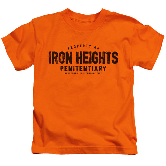 Justice League Iron Heights Juvenile Kids Youth T Shirt Orange Officially Licensed