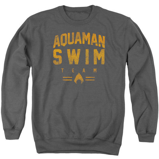 Justice League Swin Team Mens Crewneck Sweatshirt Charcoal Officially Licensed