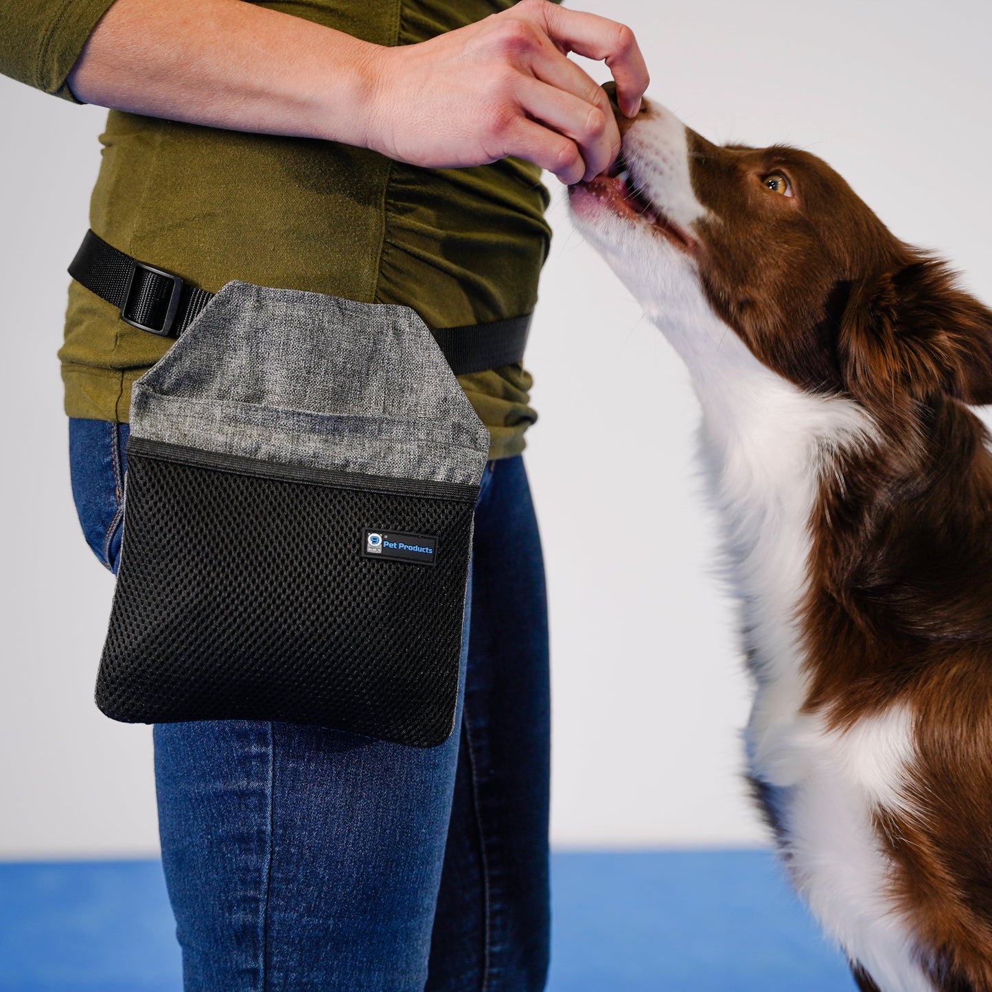 INSPIRE Dog Training Treat Pouch & Treats