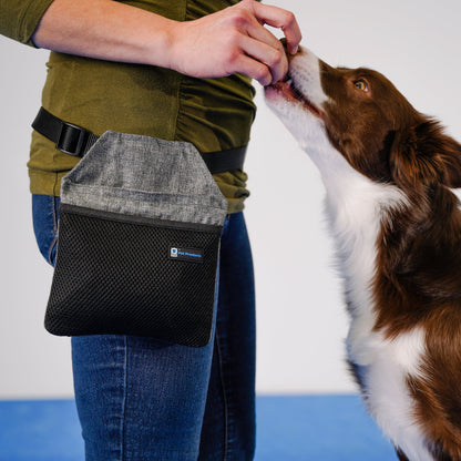 INSPIRE Dog Training Treat Pouch & Treats
