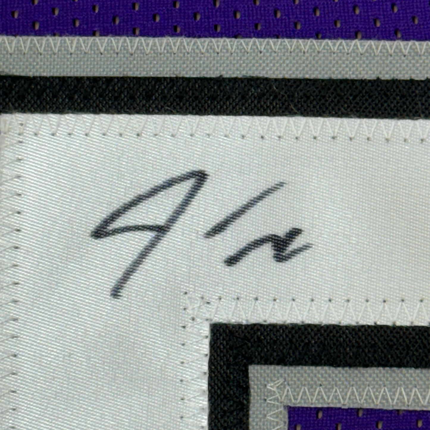 Framed Autographed/Signed Jason Williams 35x39 Sacramento Purple Basketball Jersey PSA/DNA COA