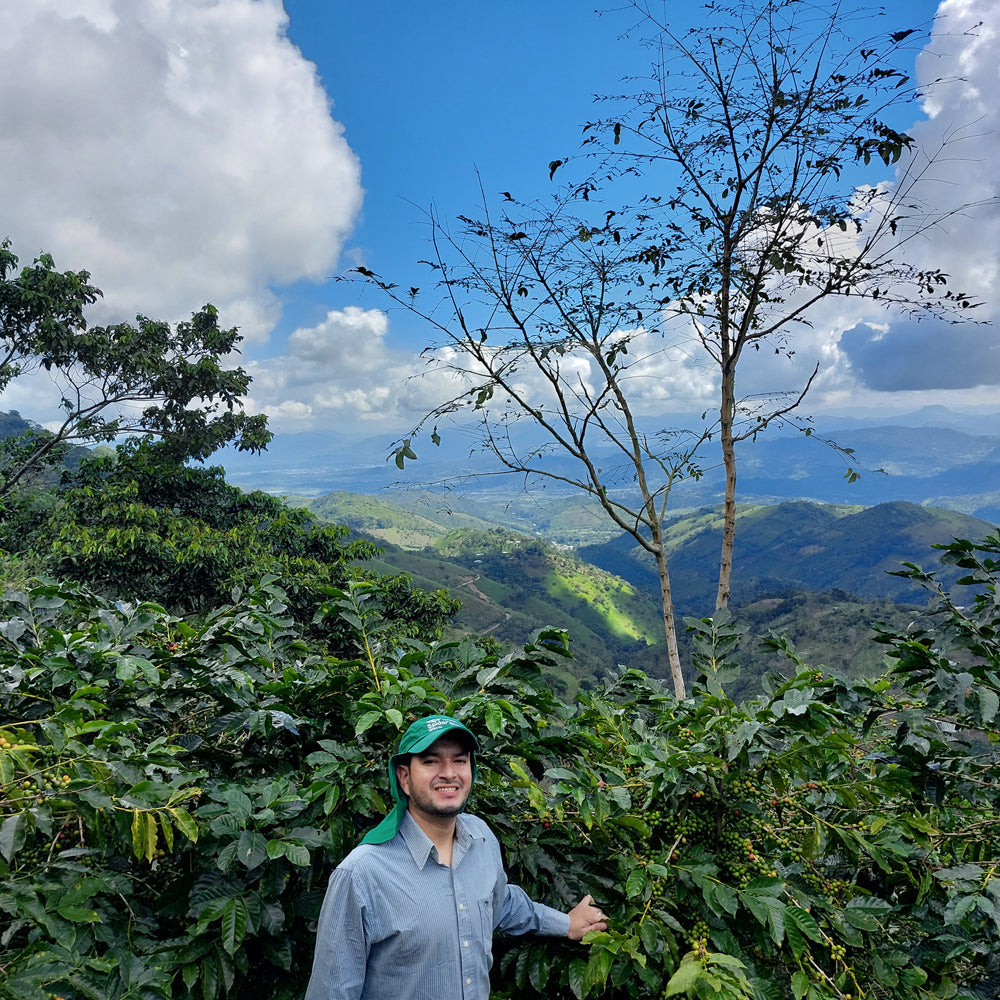 Honduran Espresso Blend Coffee 1.8oz (50g) Sample bag