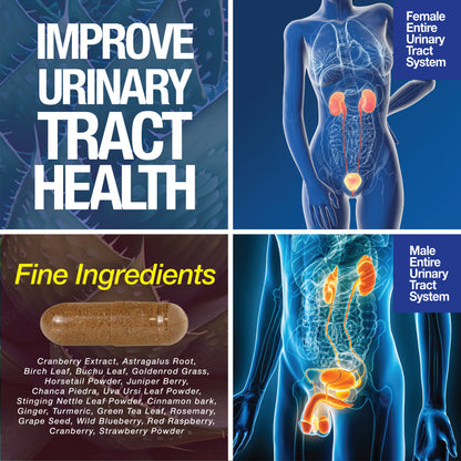 Kidney Support Cleanse Detox & Repair -120 Capsules - Cranberry & Astragalus Root Pills