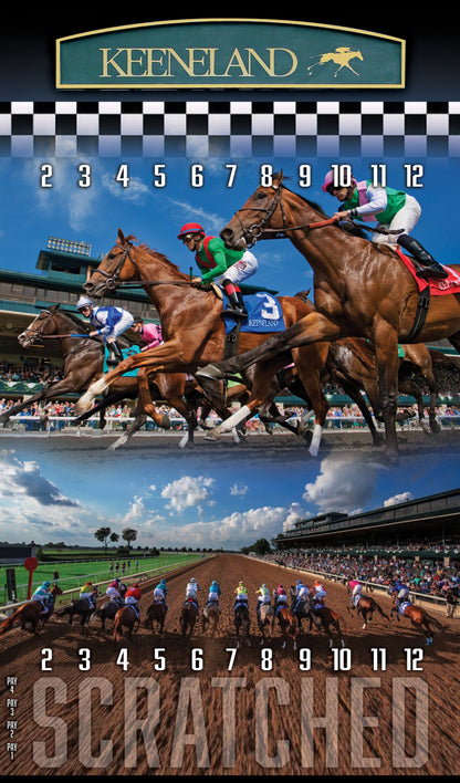 XL Brown Striped Track Horse Race Party Game - New Heavy Duty Metal Horse Numbered 2-12