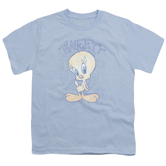 Looney Tunes Tweety Fade Kids Youth T Shirt Light Blue Officially Licensed