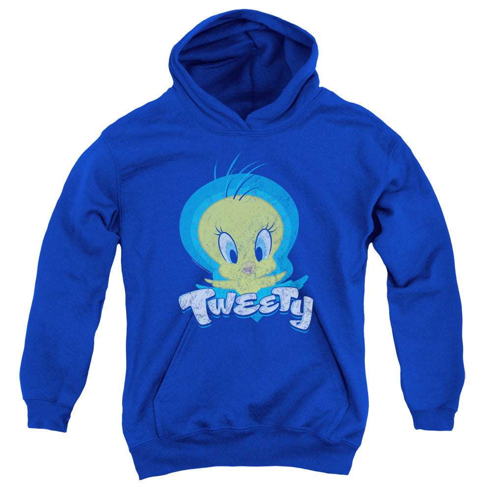 Looney Tunes Tweety Swirl Kids Youth Hoodie Royal Blue Officially Licensed