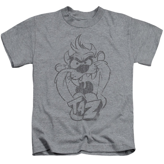 Looney Tunes Faded Taz Juvenile Kids Youth T Shirt Athletic Heather Officially Licensed