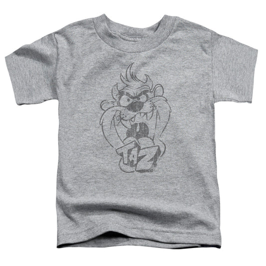 Looney Tunes Faded Taz Toddler Kids Youth T Shirt Athletic Heather Officially Licensed