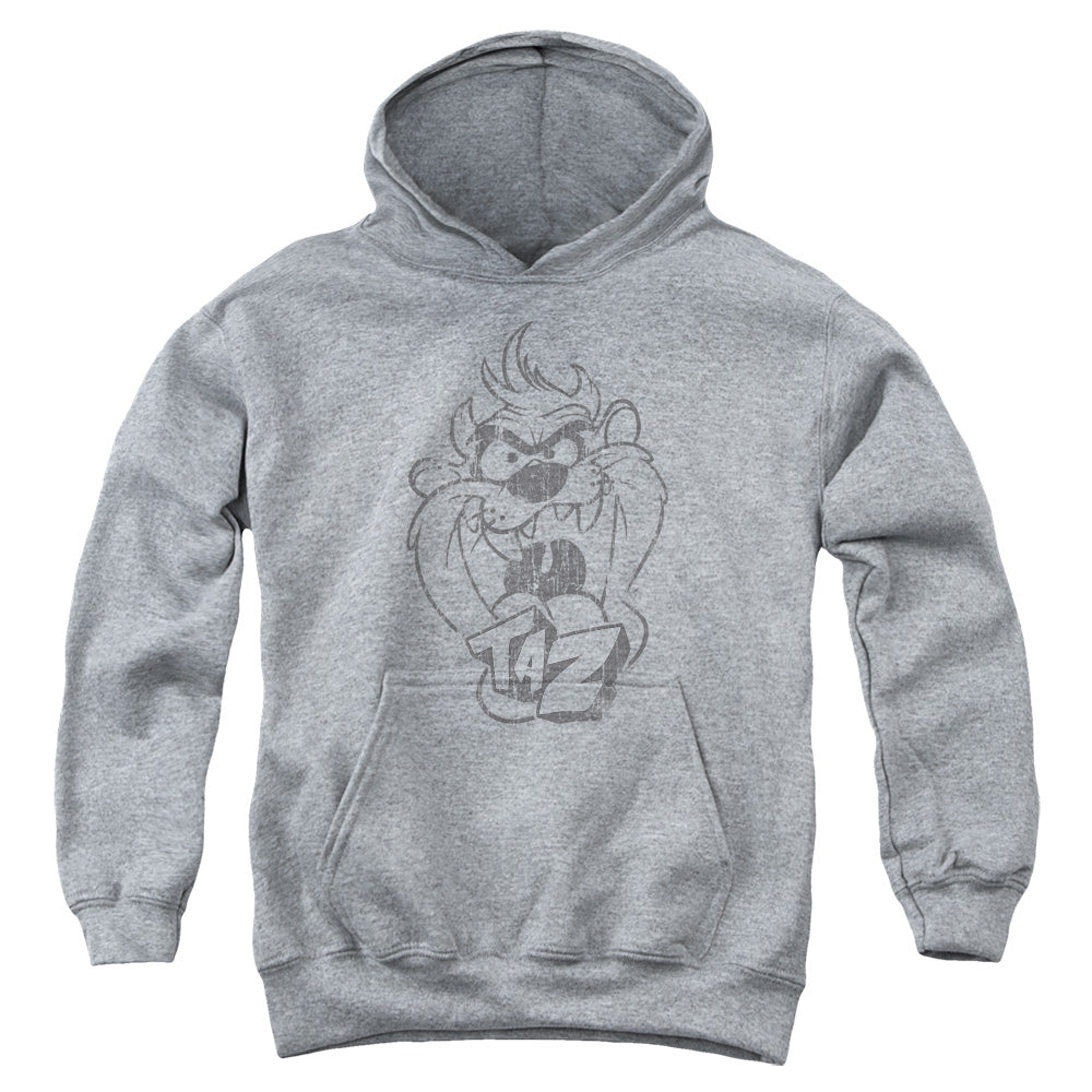 Looney Tunes Faded Taz Kids Youth Hoodie Athletic Heather Officially Licensed