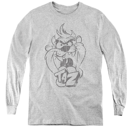 Looney Tunes Faded Taz Long Sleeve Kids Youth T Shirt Athletic Heather Officially Licensed