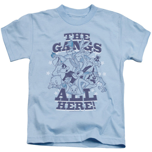 Looney Tunes Blue Gang Juvenile Kids Youth T Shirt Light Blue Officially Licensed