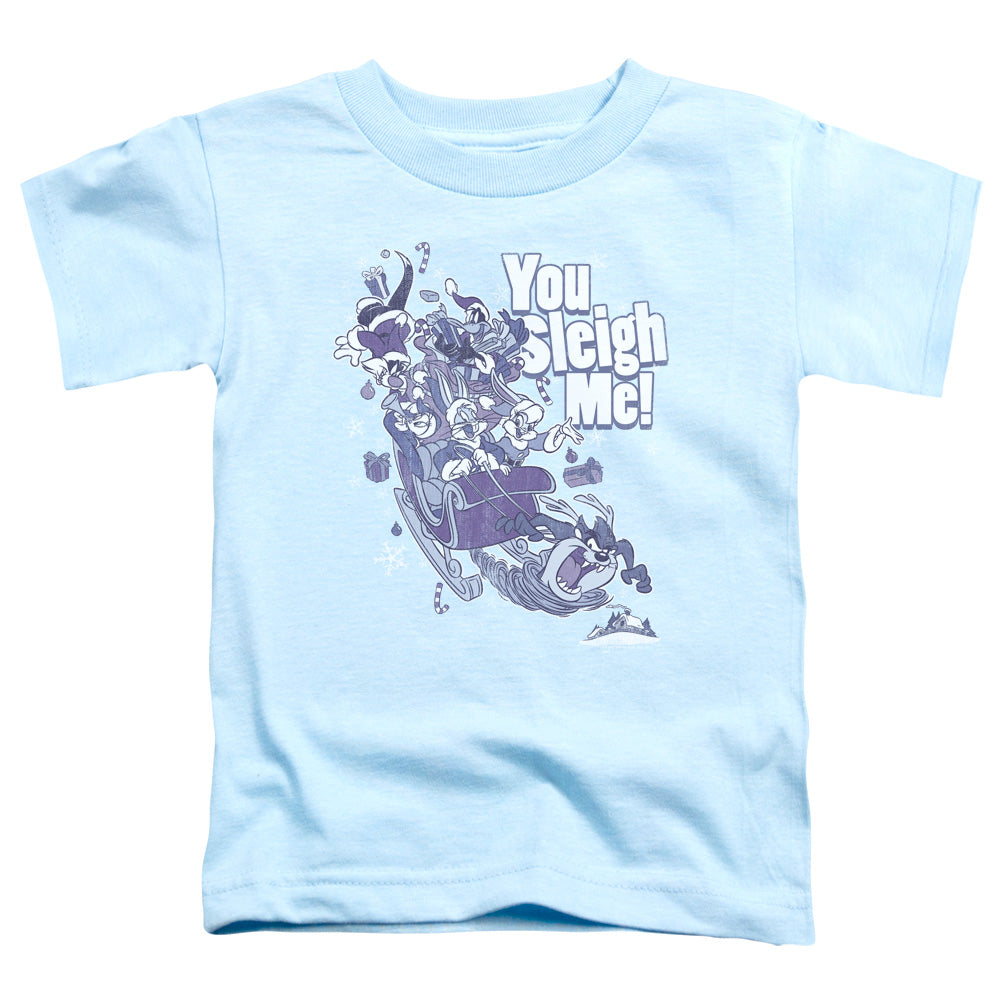 Looney Tunes You Sleigh Me Toddler Kids Youth T Shirt Light Blue Officially Licensed