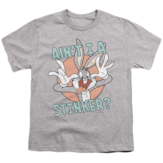 Looney Tunes Aint I a Stinker Kids Youth T Shirt Athletic Heather Officially Licensed