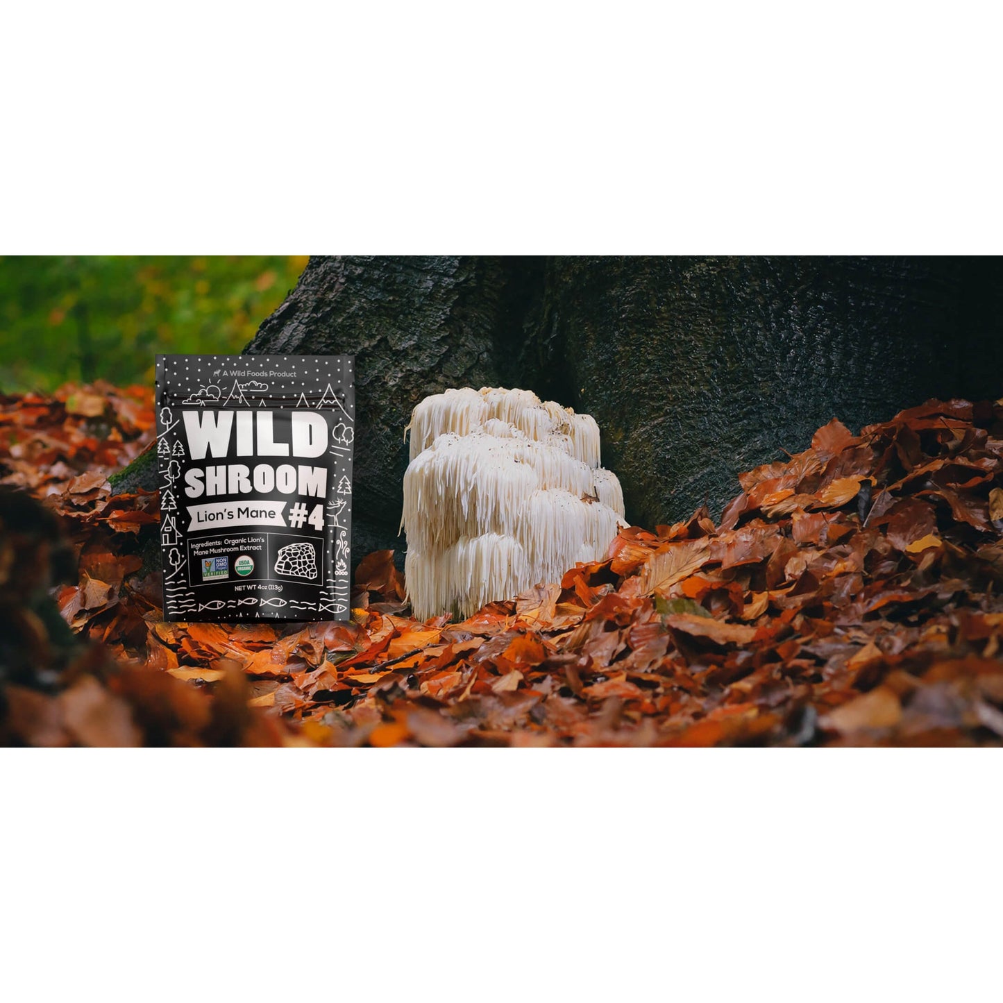 Wholesale case of 12 - Shroom #4 Lion's Mane Mushroom Extract