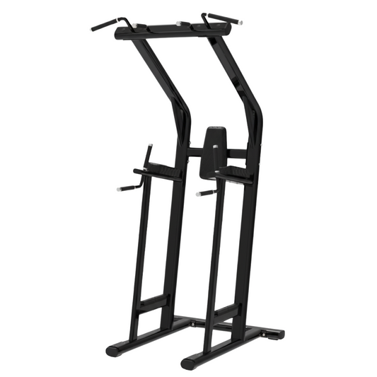 BUILD Chin Dip Leg Raise VKR Station (New)