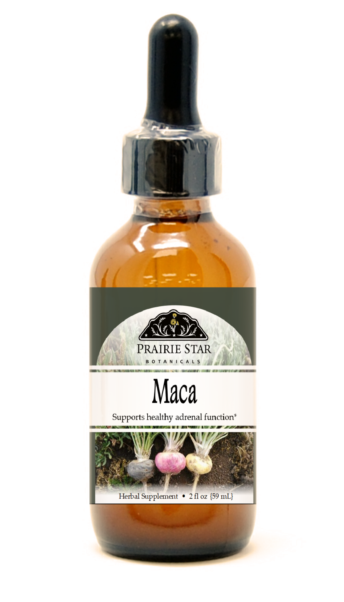 Maca