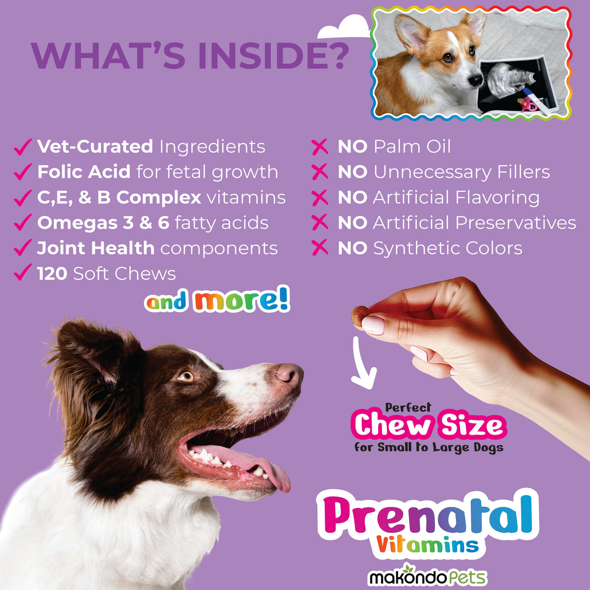 Dog Prenatal Vitamins | All Breeds | 120 Soft Chews