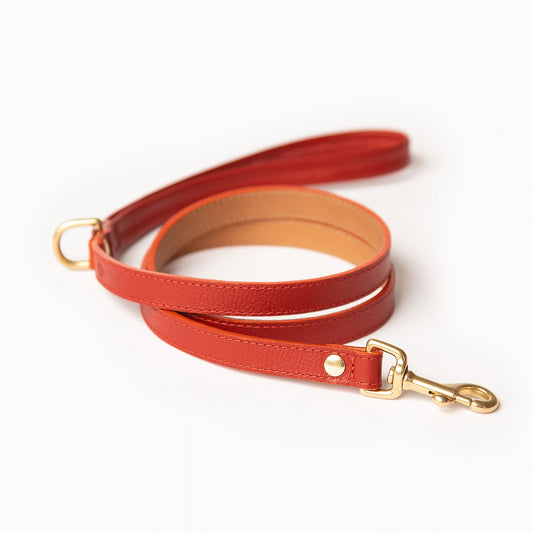 Mars Leash
