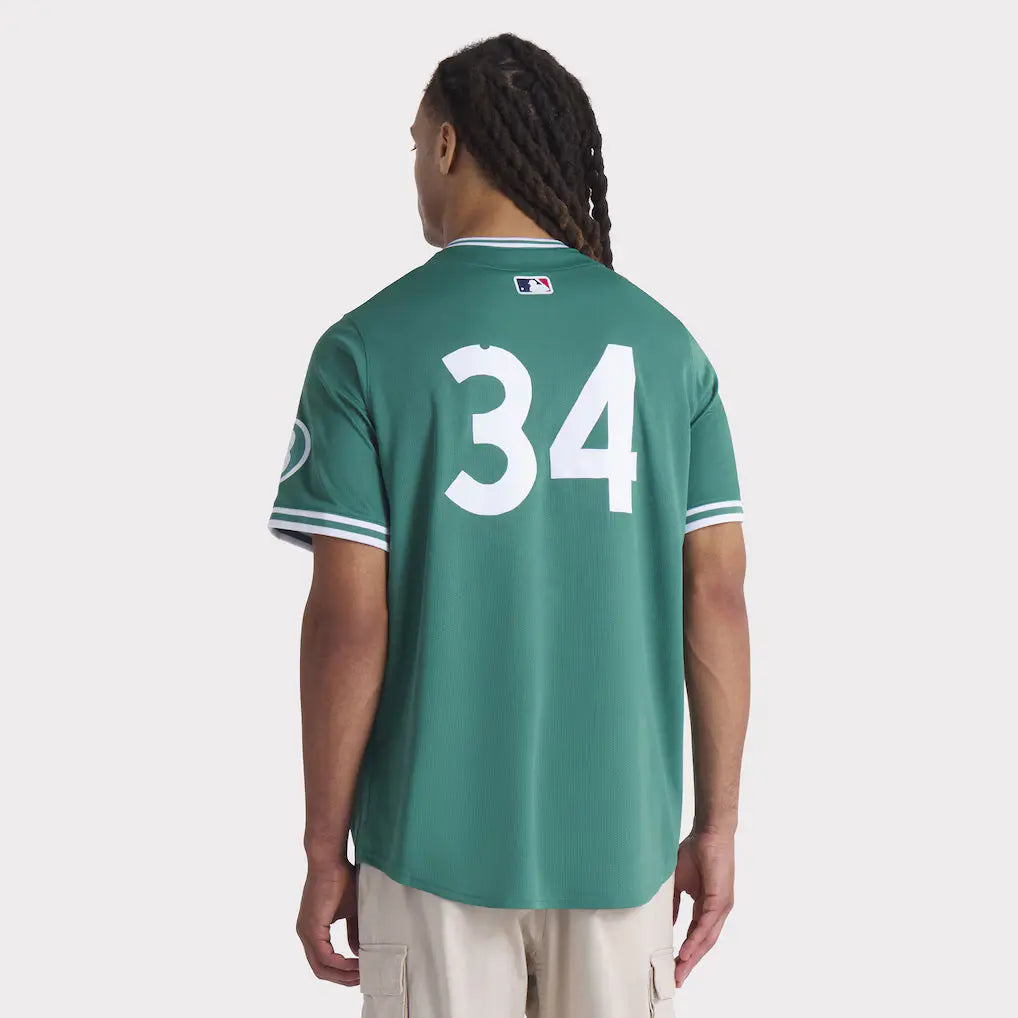 Men’s Boston Red Sox David Ortiz Nike Green 2025 Jersey