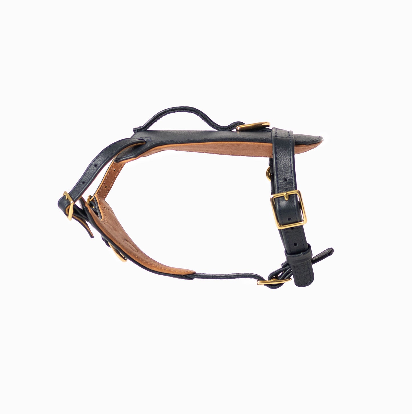 Midnight Heritage Harness