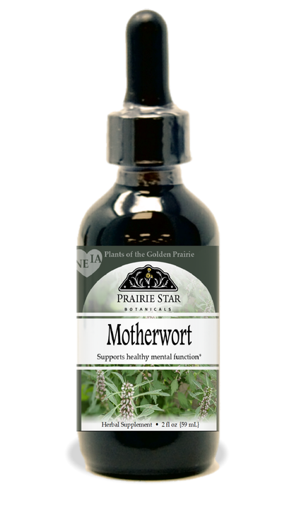 Motherwort