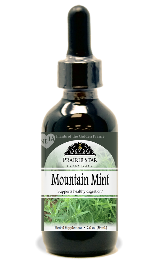 Mountain Mint