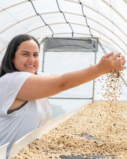 Honduran Parainema Coffee - 3-Pack - 2lb - Triathlete Store