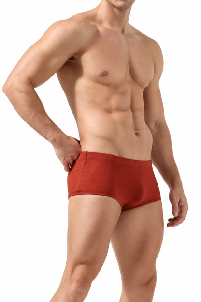 Men’s Cotton Boxer Briefs – Solid Color, Minimalist Style