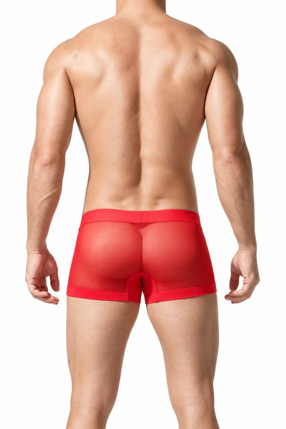 Men’s Transparent Boxer Briefs – Breathable & Sexy