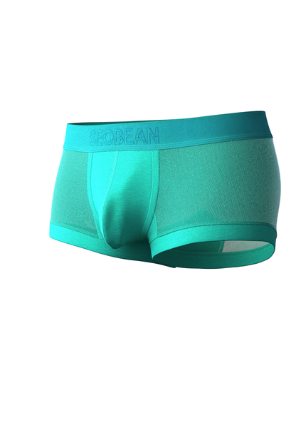 Men’s Transparent Boxer Briefs – Breathable & Sexy