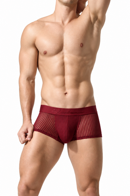 Men's Mesh Boxer Shorts - Sexy & Breathable