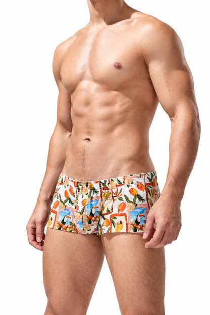 Men's Cotton Boxer Briefs - Botanical Print Breathable Underwear