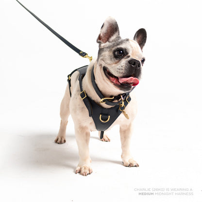 Midnight Heritage Harness