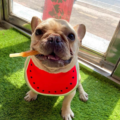 Funny Cartoon Dog Bandana Bibs (4 Designs)