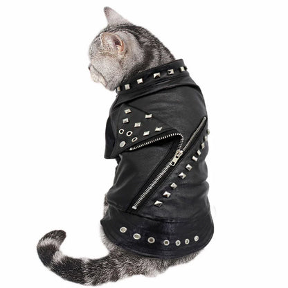 Dog Leather Jacket with Studs – Punk Rock Style
